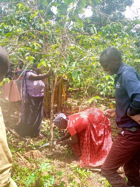 Our Work in Africa .